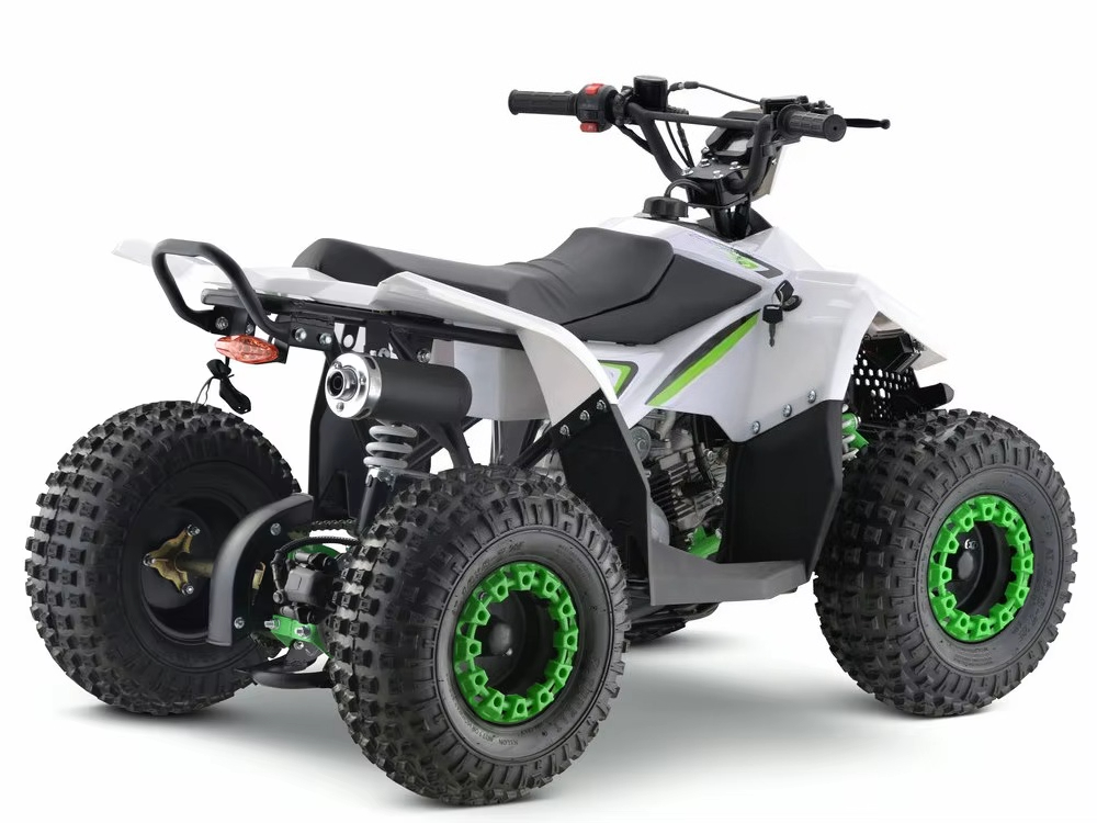 Детский квадроцикл с бензиновы – обзор и цена Kids Toys Quad